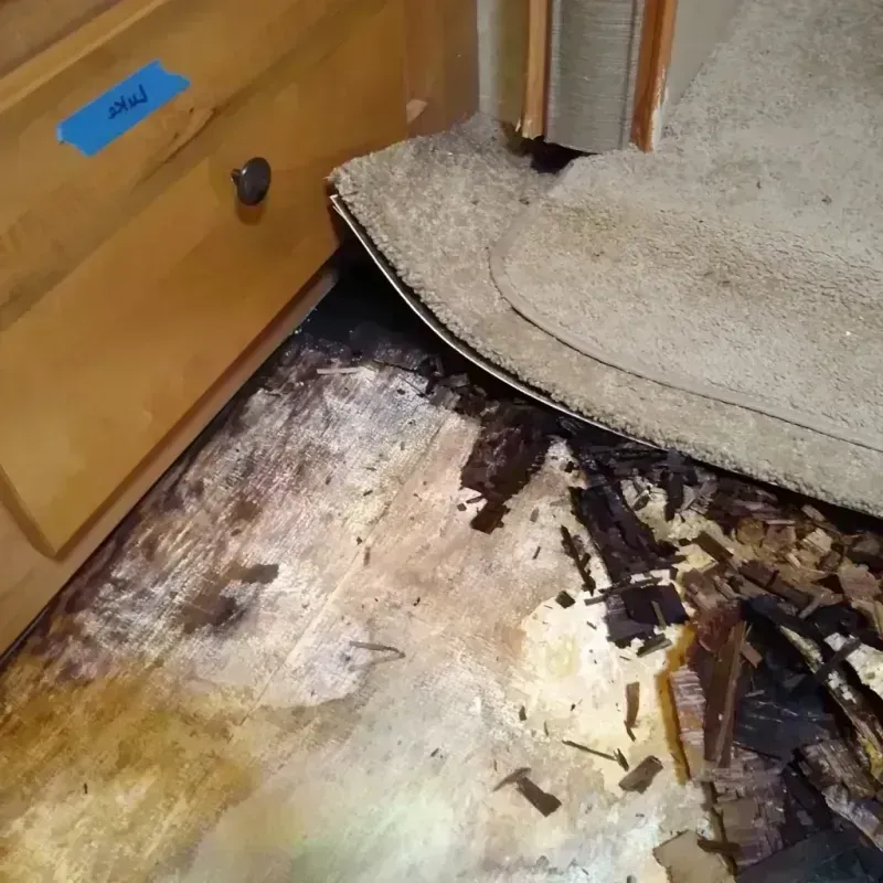 Wood Floor Water Damage in Closter, NJ